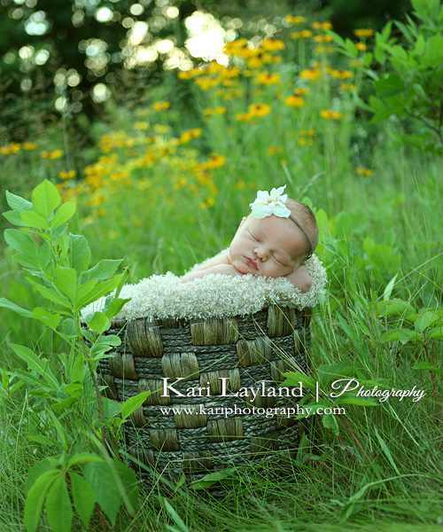 outdoor newborn baby photography