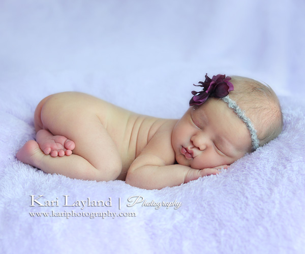 curled up newborn photo