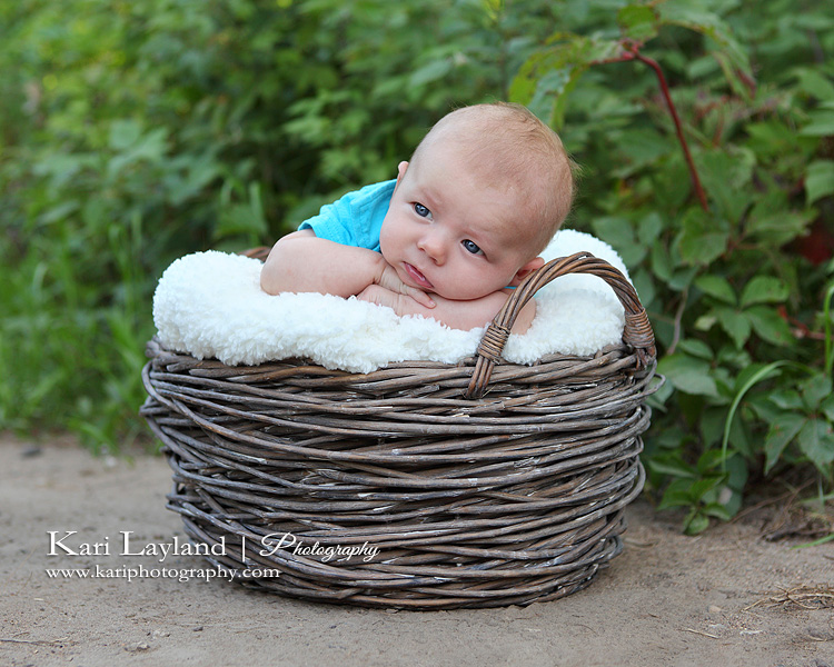 Baby boy in a basket.  Outdoor portrait taken by MN photographer Kari Layland.