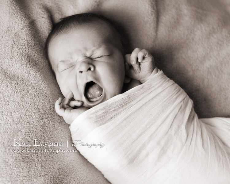 Newborn portrait of a baby yawning.  Taken in St Paul Mn by Kari Layland, photographer.