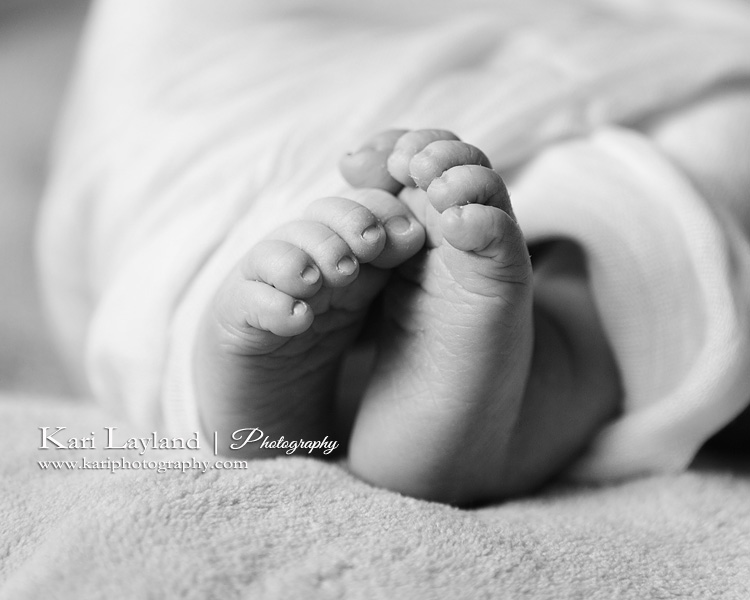 Baby Feet.  Taken in St Paul Mn by Kari Layland, photographer.