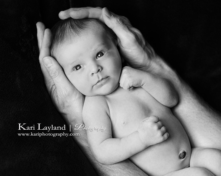 Newborn portrait of a baby boy in his father's arms.  Taken in St Paul Mn by Kari Layland, photographer.