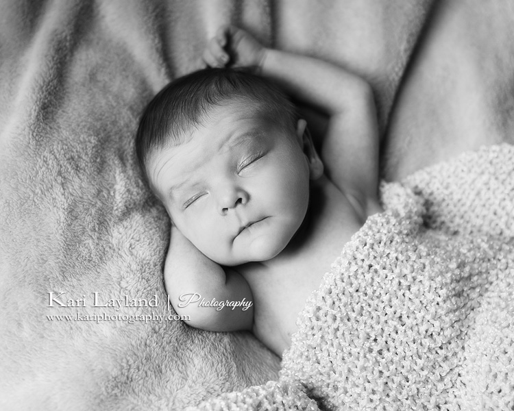 Newborn portrait taken in St Paul Mn by Kari Layland, photographer.