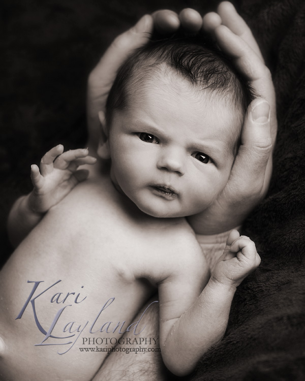newborn boy in daddy's hands.  MN newborn photography