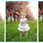 One year baby photos Minnesota