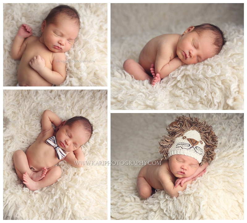 Newborn boy portrait photography MN