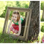 2 year portraits, photography in Cottage Grove MN