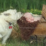 new baby and dog