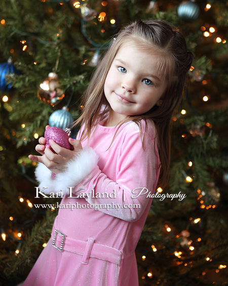 Happy Holidays! | Kari Layland - MN portrait photographer Blog