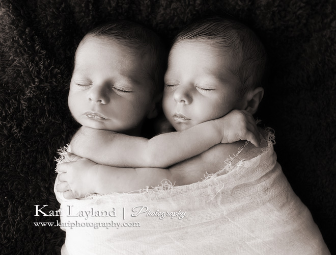 Newborn twin photography in Minnesota by Kari Layland | Kari Layland ...