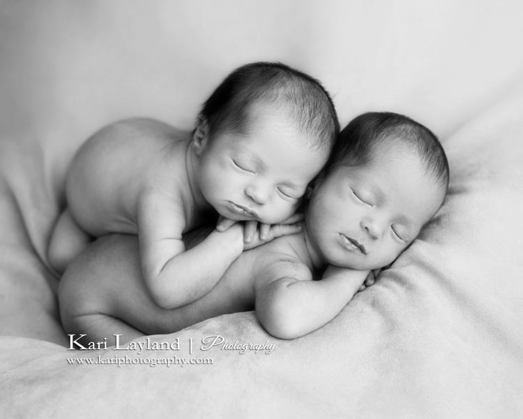 MN newborn twins photographer | Kari Layland - MN portrait photographer ...
